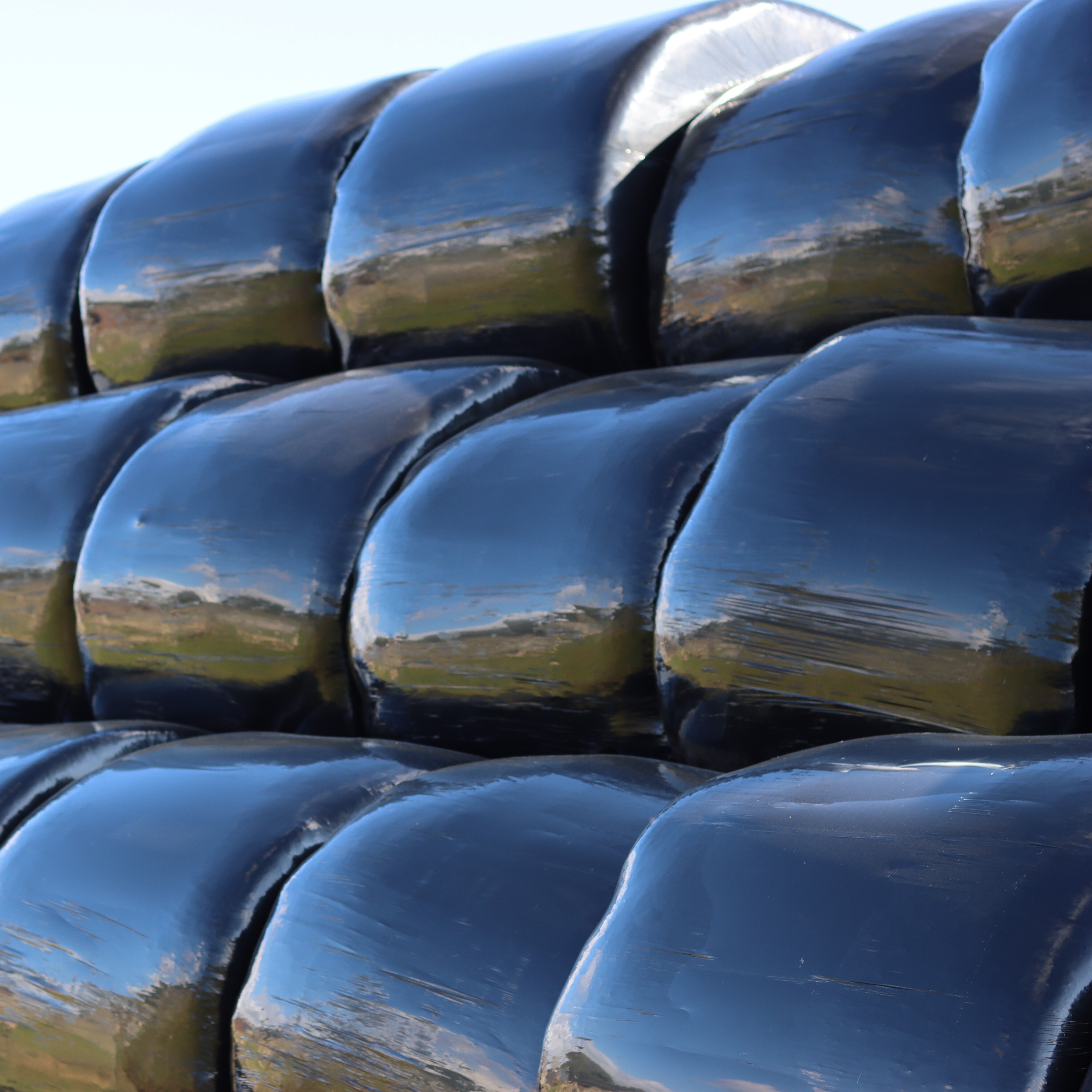 Fodder_Round_Bale_Silage[1].jpg